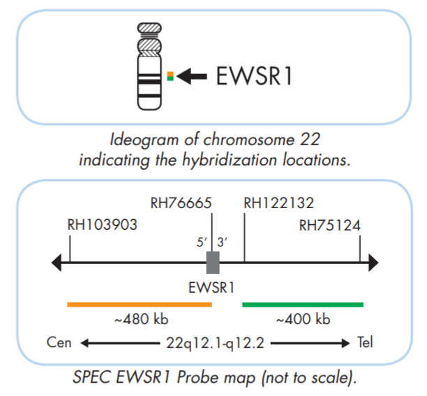 EWSR1 break apart